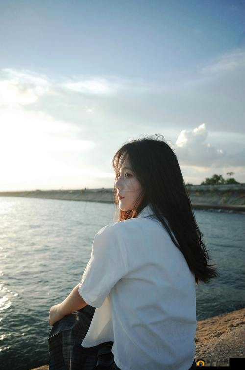 男桶女：男女情感私密交流树洞