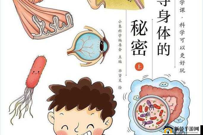 鲜嫩欲滴的白嫩 BBBBBBBBB-：探寻其背后的秘密