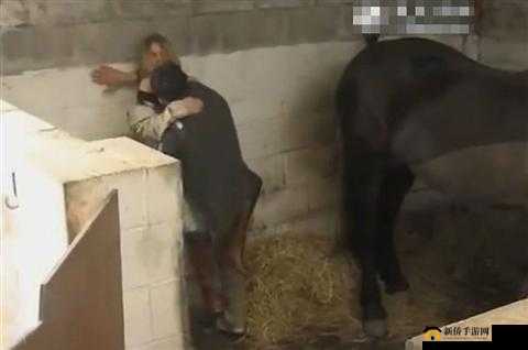 当男女一起时，叫声不断，体验激情与痛苦