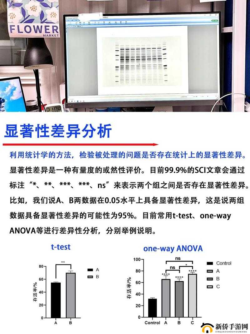 三指探洞和二指的区别：探究两者在操作技巧上的显著差异