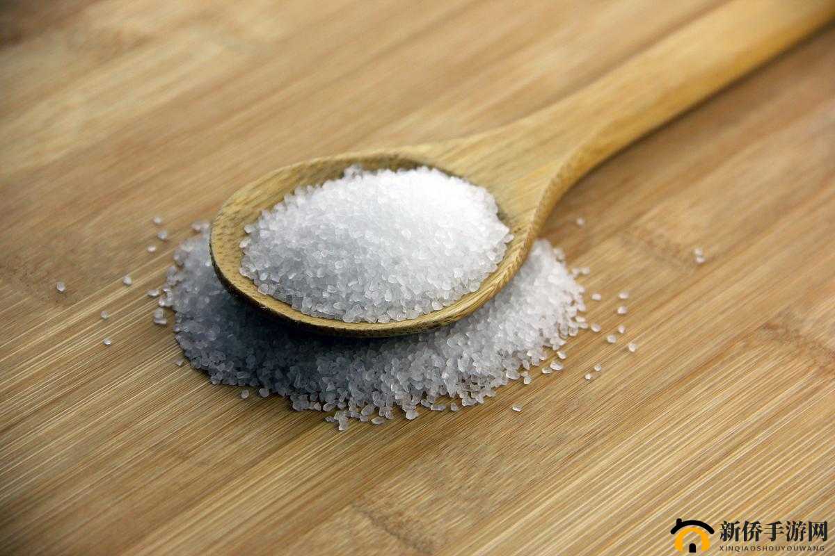 盐母 16 哪里都看得见：关于其具体含义与相关探讨