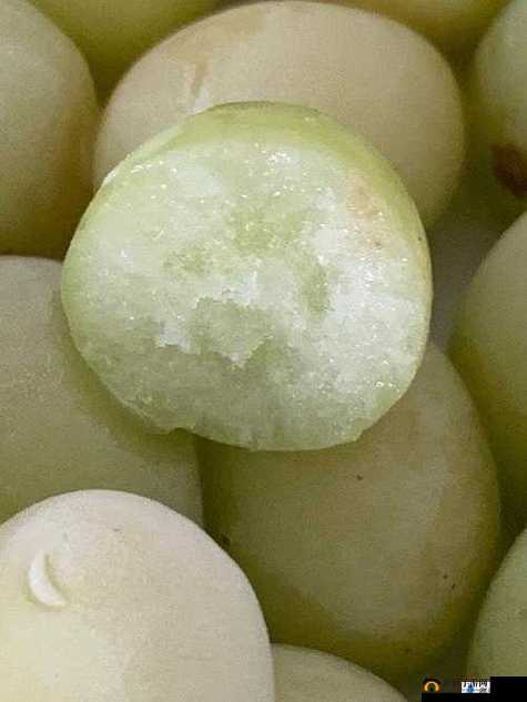 葡萄不准掉出来晚上检查：确保严格遵守这一重要规定