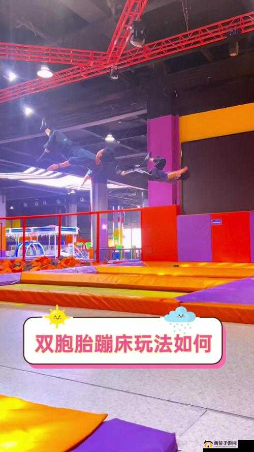 双人摇床剧烈运动：一场令人震撼的独特体验