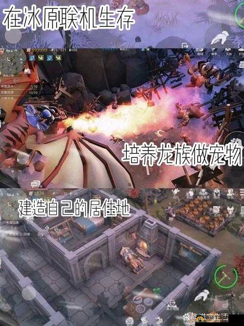 冰原守卫者游戏攻略，全面解析获取动物皮以制作装备和提升生存能力的多种方法