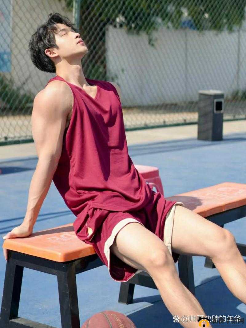 肌肉大包体育生带毛飞机网站：健身之美与激情的完美结合