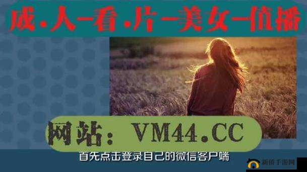 免费畅享 30 款禁用黄台网站软件 尽享独特体验