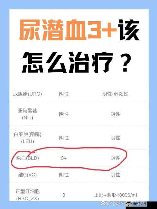 尿在肚子里不能流出来肉：探寻这一奇特现象背后的原因