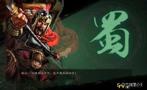 三国志·战略版魏延抽取价值探讨，基于资源管理的深度解析