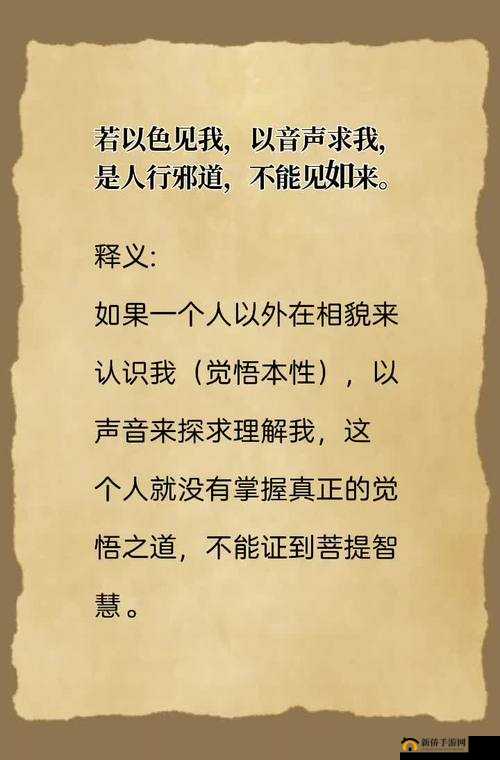 以以色人网 BB 为中心，探讨其背后的文化现象