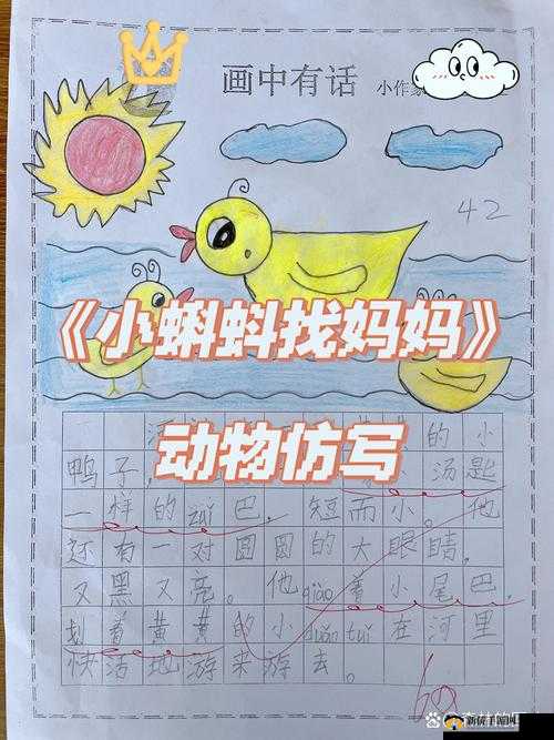 释放蝌蚪的网站：让生命在自然中自由成长