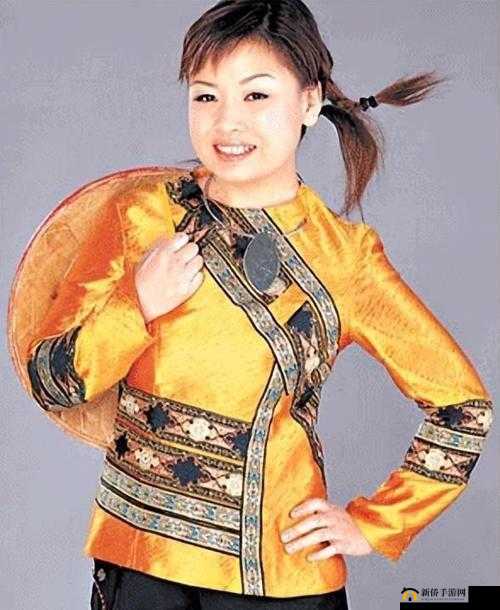 麻花传 MDR 免费版李琼：揭秘其背后的故事