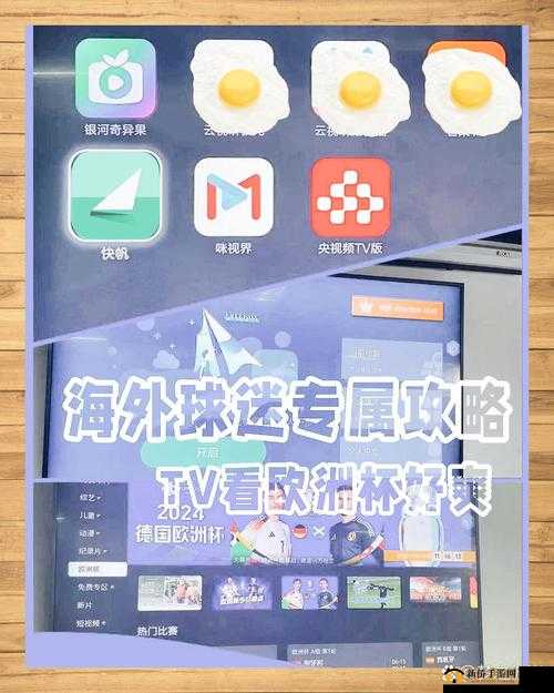 畅享免费看 B 站直播大全：海量精彩直播等你来