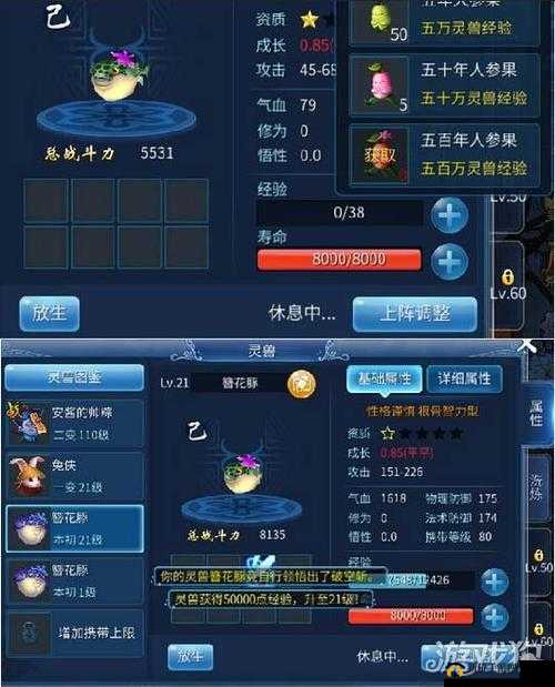 倩女幽魂灵兽技能书：深度解析与实战应用指南