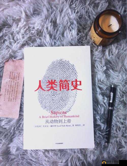 欧美人与物物交：探索文化差异与人类行为的奥秘