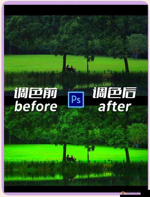 免费 PS 大片调色视频教程：轻松打造专业级调色效果