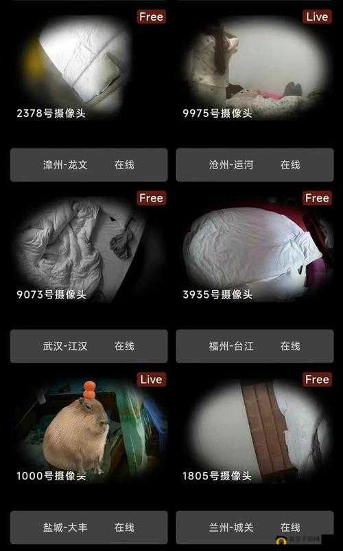关于偷窥盗摄ⅤideOSSe 的相关探讨与警示