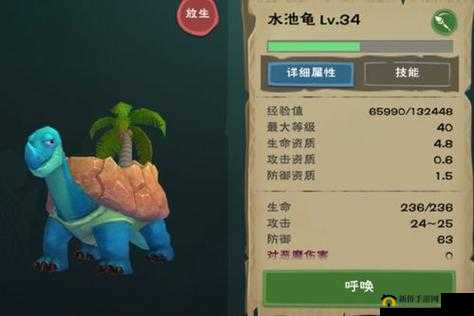 探索创造与魔法世界，揭秘水池龟的饮食习性及喂养指南