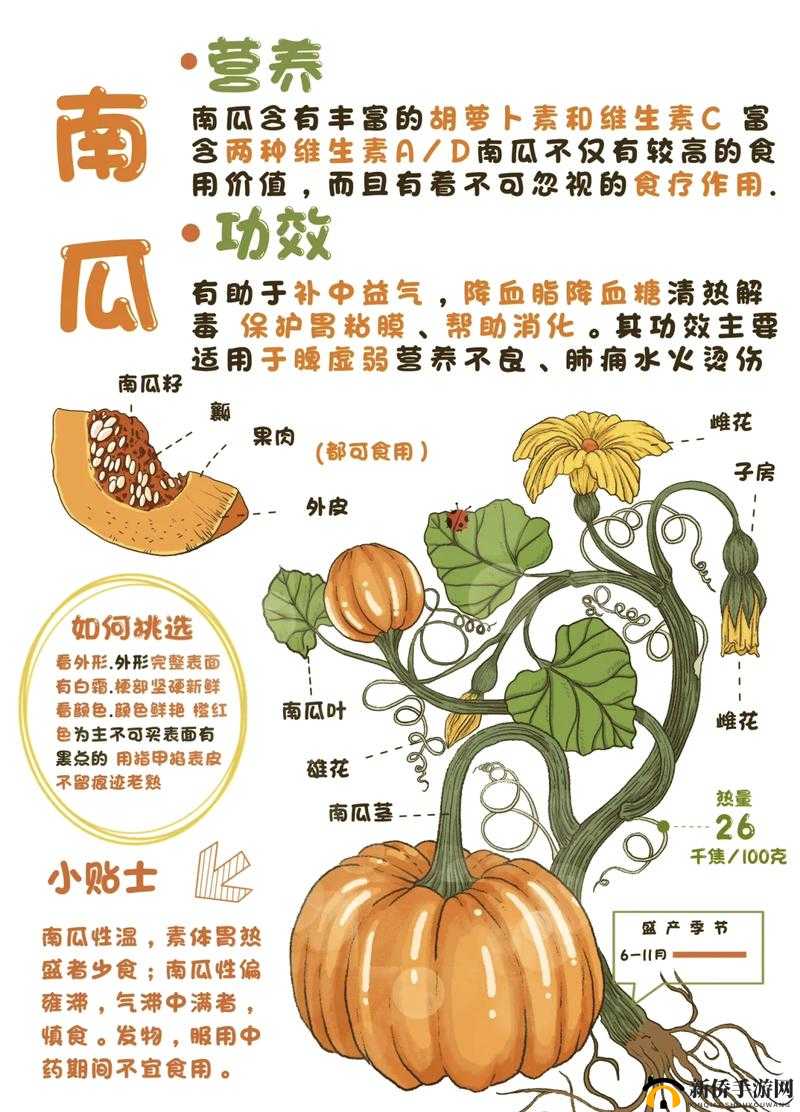 吃花核心流水喝：探寻独特饮食背后的奇妙世界
