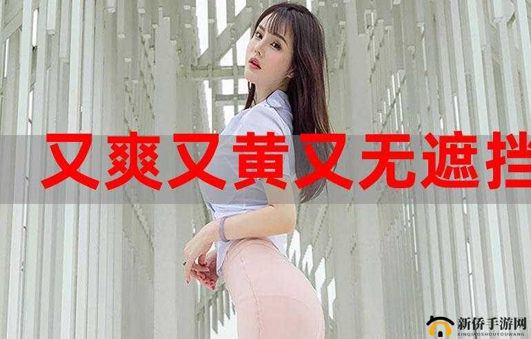 涩里番 app 黄版网站：成人内容的聚集地