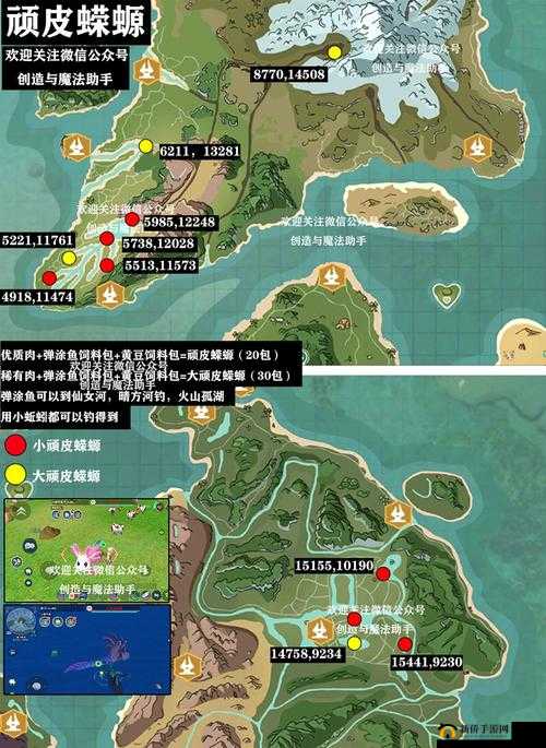 创造与魔法游戏内顽皮蝾螈刷新位置及捕捉技巧全面揭秘
