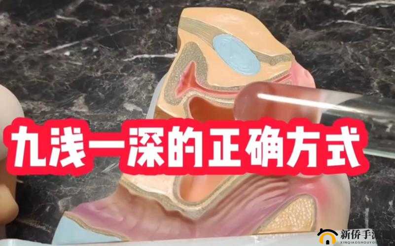 九浅一深和左三右三如何搭配获得大量资源：探索高效获取之法