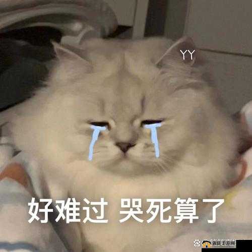 ：小哭包被 1v2 后在晚风里瑟瑟发抖