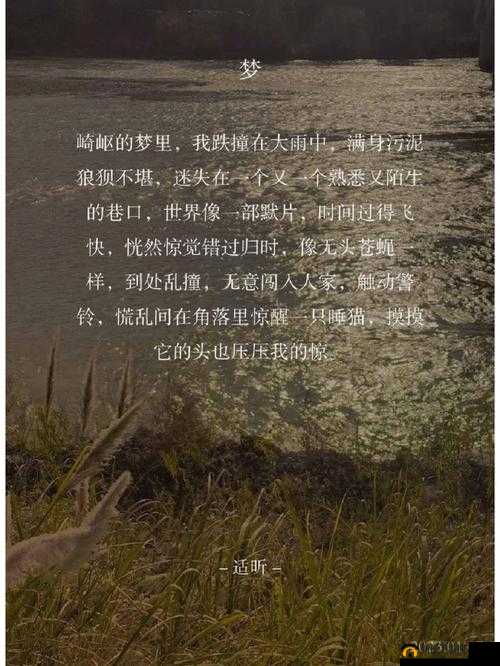那些荒唐混乱的岁月是什么书：一段引人深思的岁月回溯