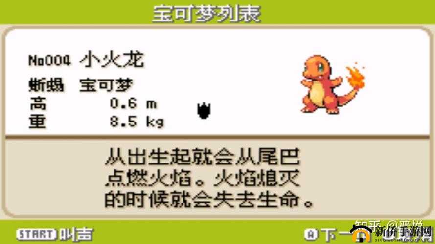 去吧皮卡丘！全面解析小火龙宠物特性与实战运用攻略