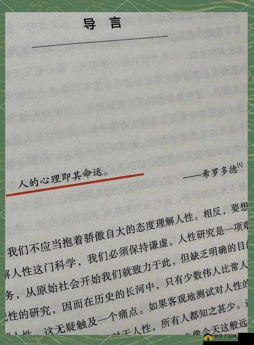让我流水水的一千字：探索人性与情感的深度