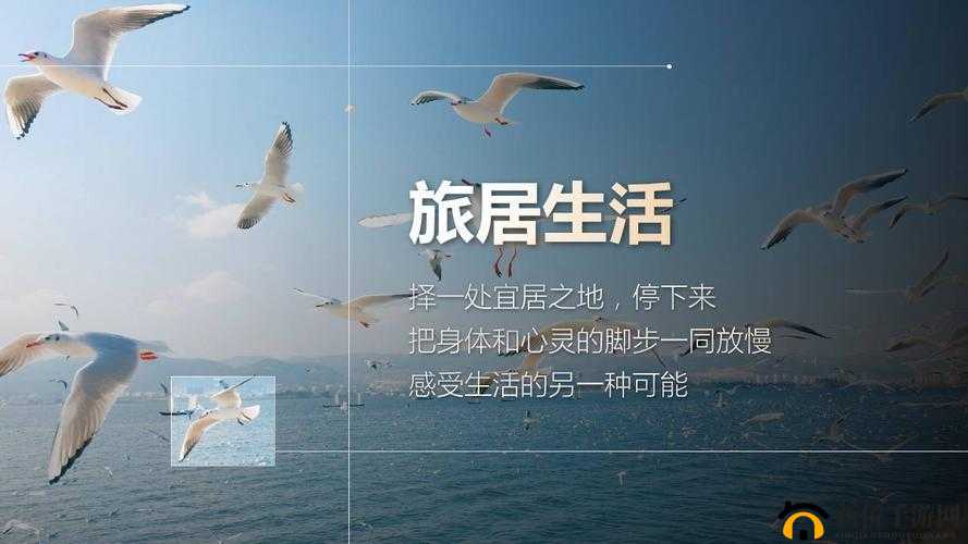 FRXXEE 中国 XXEE 宾馆：时尚潮流的旅居新选择