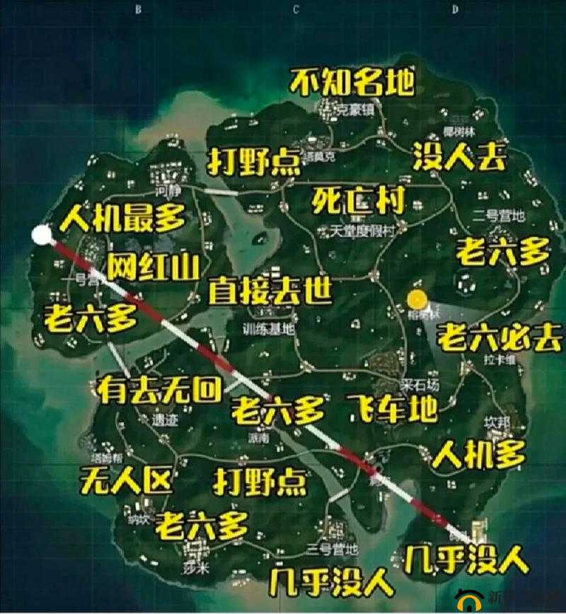 绝地求生刺激战场雨林地图深度玩法解析，掌握生存与制胜策略