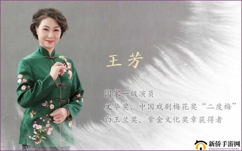 高敏、高亮与王芳的精彩故事：别样人生画卷
