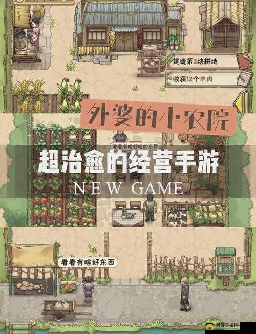 爷爷的小农院赚钱秘籍，全面攻略与高效资源管理智慧大揭秘