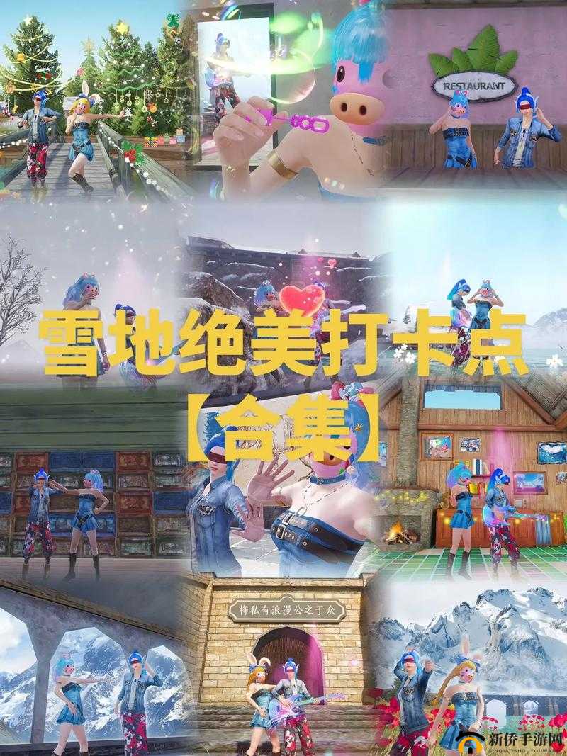 和平精英雪地地图中心公园全面攻略，打法技巧与策略深度分析