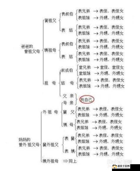 我的妻子的姐姐的女儿我怎么称呼：亲属关系中的称呼探究