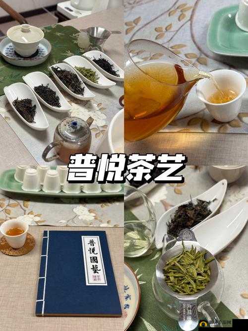 NANA_taipei 茶艺：品味茶香与生活的艺术之境