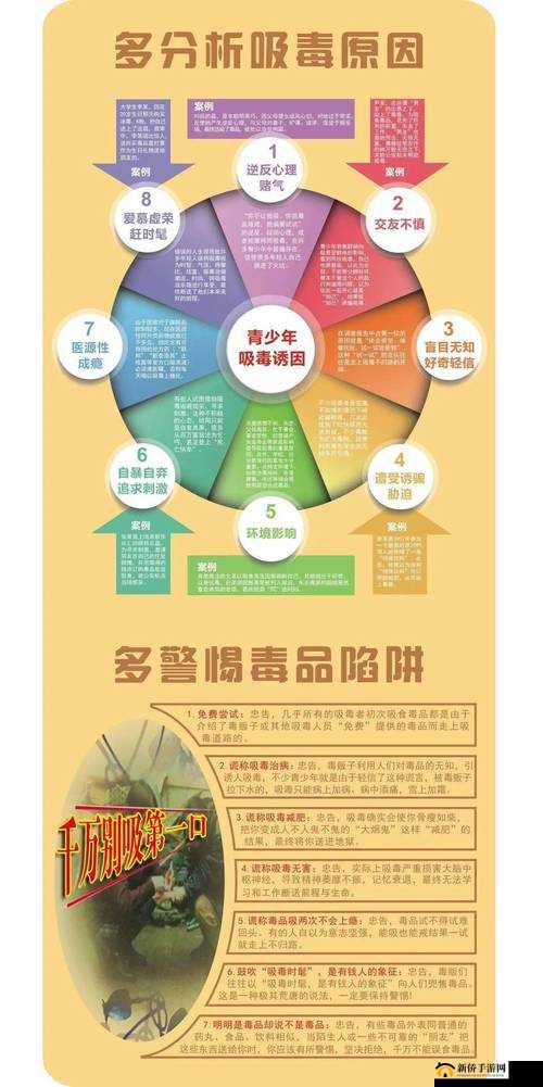 关于吸食毒品的严重危害及相关警示探讨