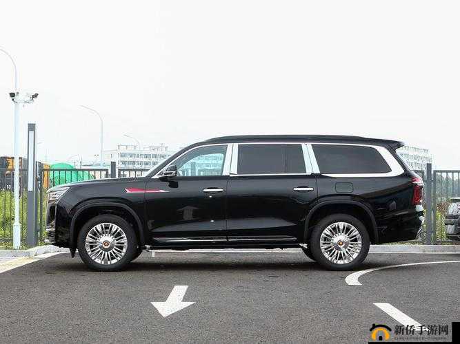 国产 SUV 精二区 69 独特魅力展现与深度解读