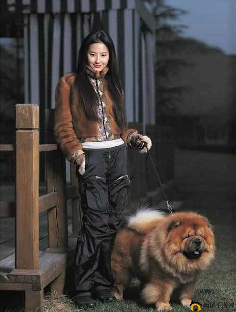 刘亦菲与黑人无套内谢相关劲爆事件揭秘