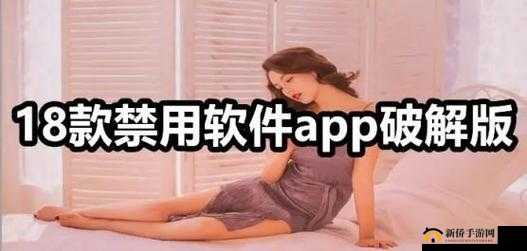 免费夜里18款禁用软件大全：全面揭秘禁用软件的相关情况