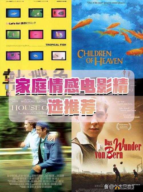 春潮涌动：一部关于家庭与情感的深刻电影