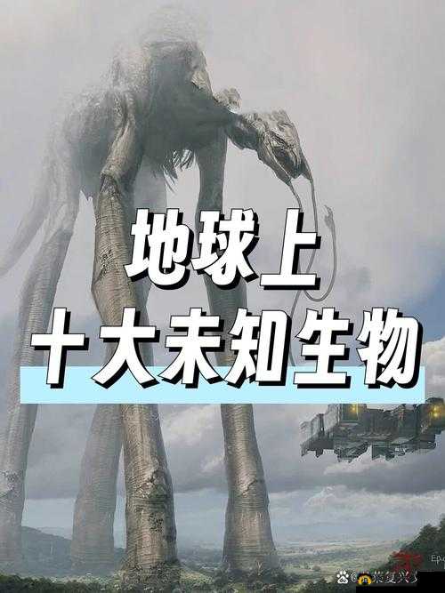 神秘通道 XYZ：隐藏在历史背后的未知世界