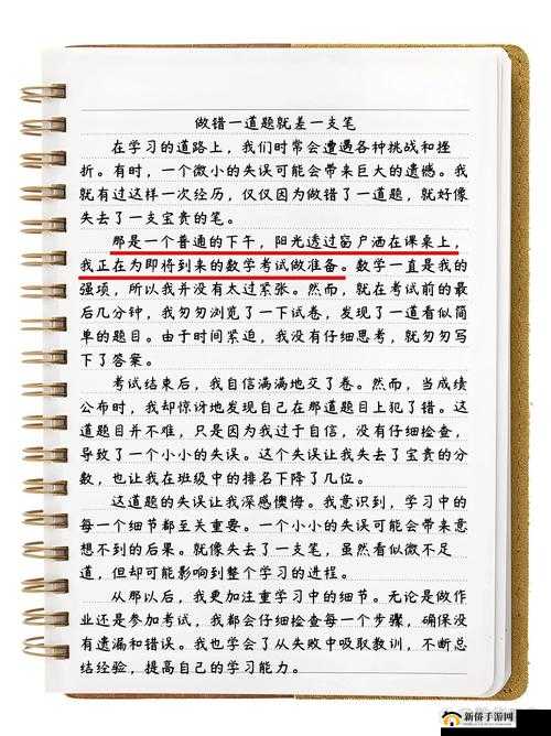 错一道题就被学长插一根笔作文：当学渣遭遇学霸的惩罚