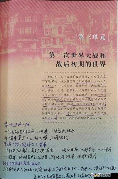 有 b 吗一战二战 008 秒国产：那段独特的历史记忆与探讨