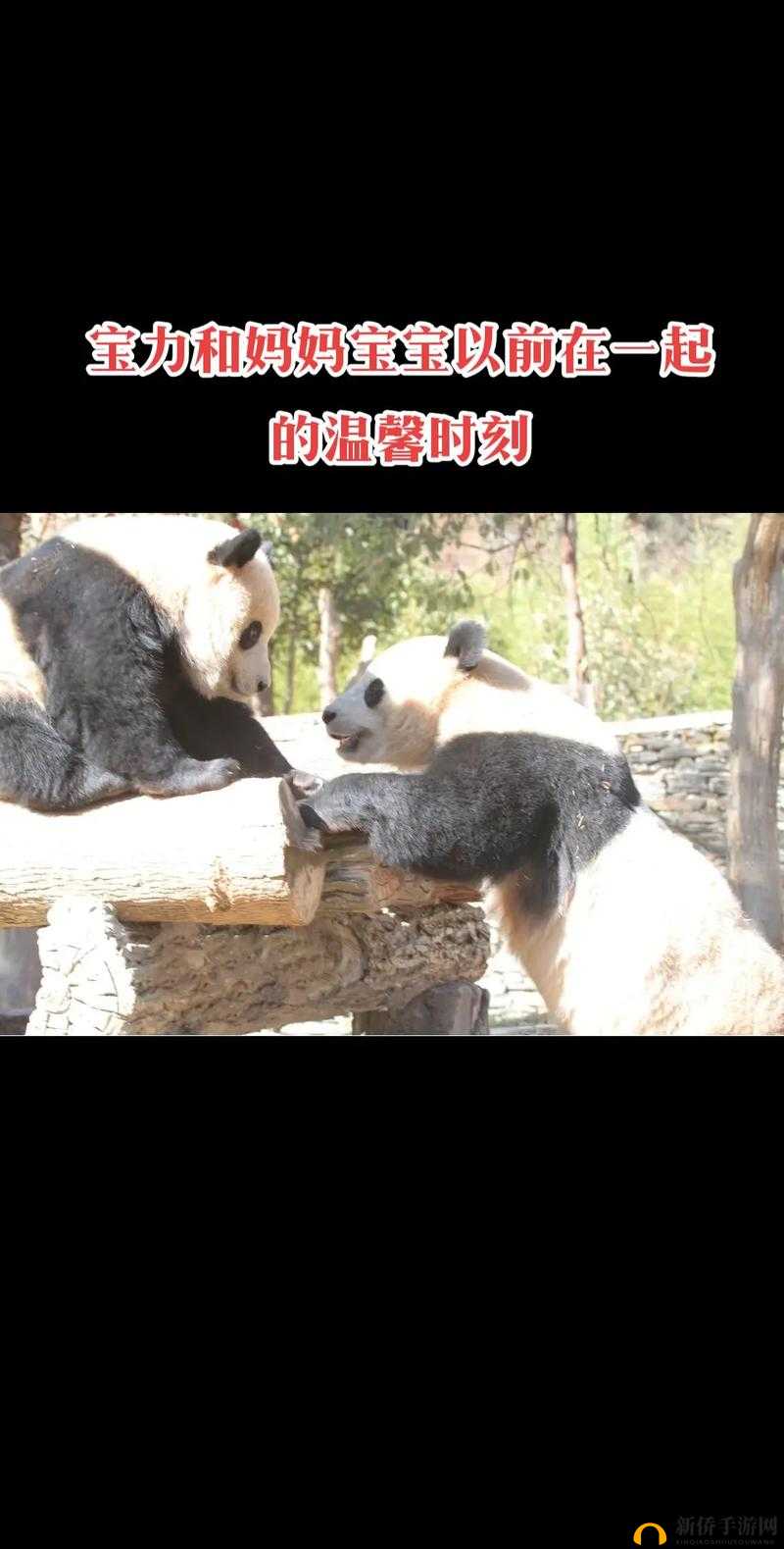 虚拟母亲在照顾新生宝宝中资源管理的重要性及高效策略探讨