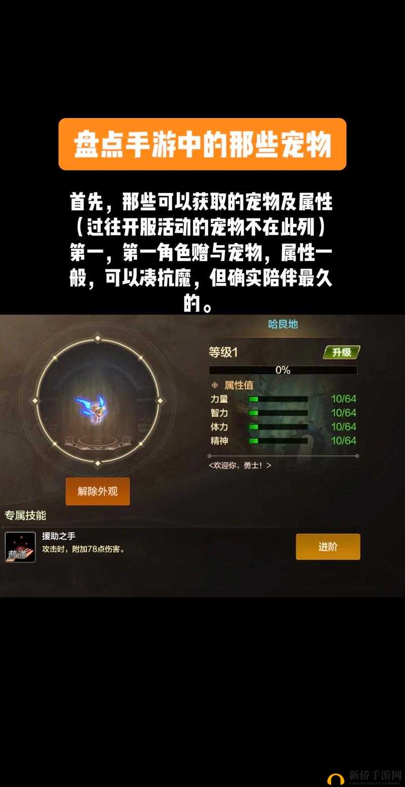提灯与地下城手游全面解析，宠物获得途径与攻略一览