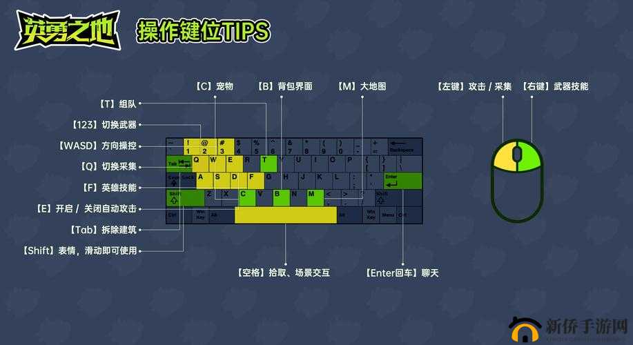 创游编辑器怎么玩？新手必看攻略，助你少走弯路快速上手！