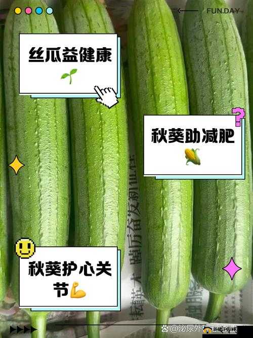 探索草莓樱桃丝瓜绿巨人秋葵番茄91的独特魅力与健康益处，了解这些果蔬的神奇功效
