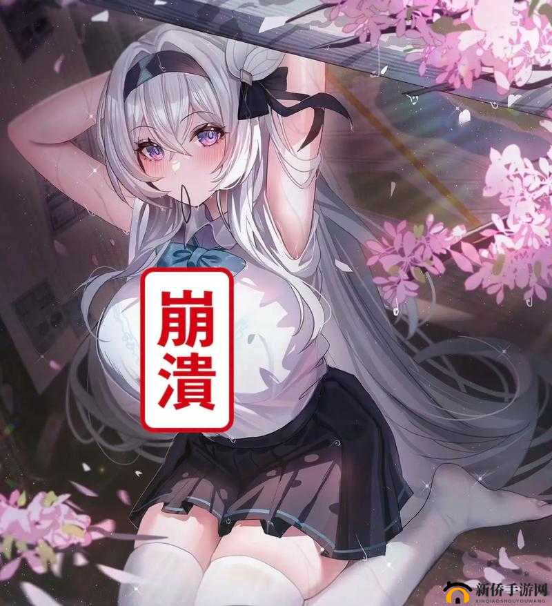甘雨被盗宝团挤扔的软件：揭秘其背后的故事与使用体验分享