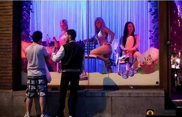 荷兰最开放表演女性揭秘：她们的独特艺术表达与背后的文化故事